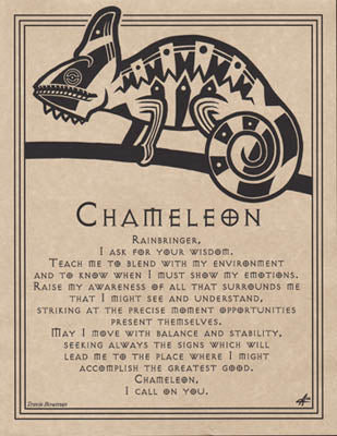 Chameleon Prayer poster