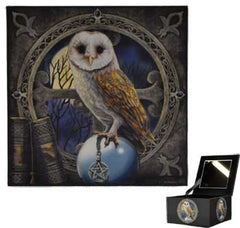 Lisa Parker Owl Mirror box
