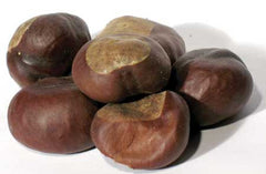 1 Lb Buckeyes Whole (Aesculus)