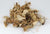 Low John Root 1oz wild crafted (Trillium pendulum)